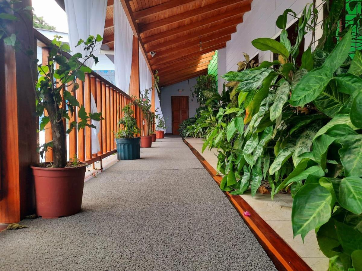 Bellavista Suites By Villas Verdes - Samara Beach Zewnętrze zdjęcie