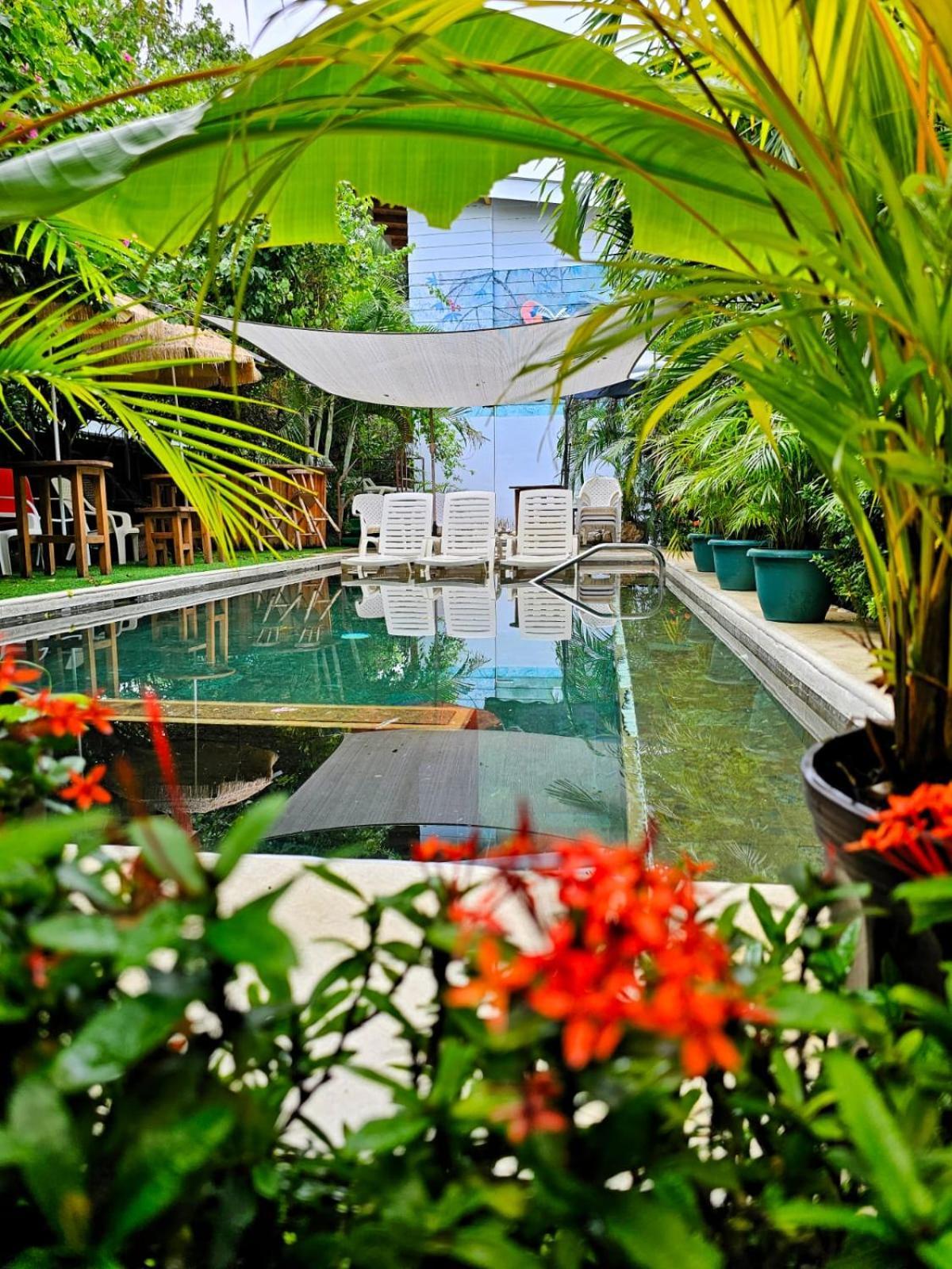 Bellavista Suites By Villas Verdes - Samara Beach Zewnętrze zdjęcie