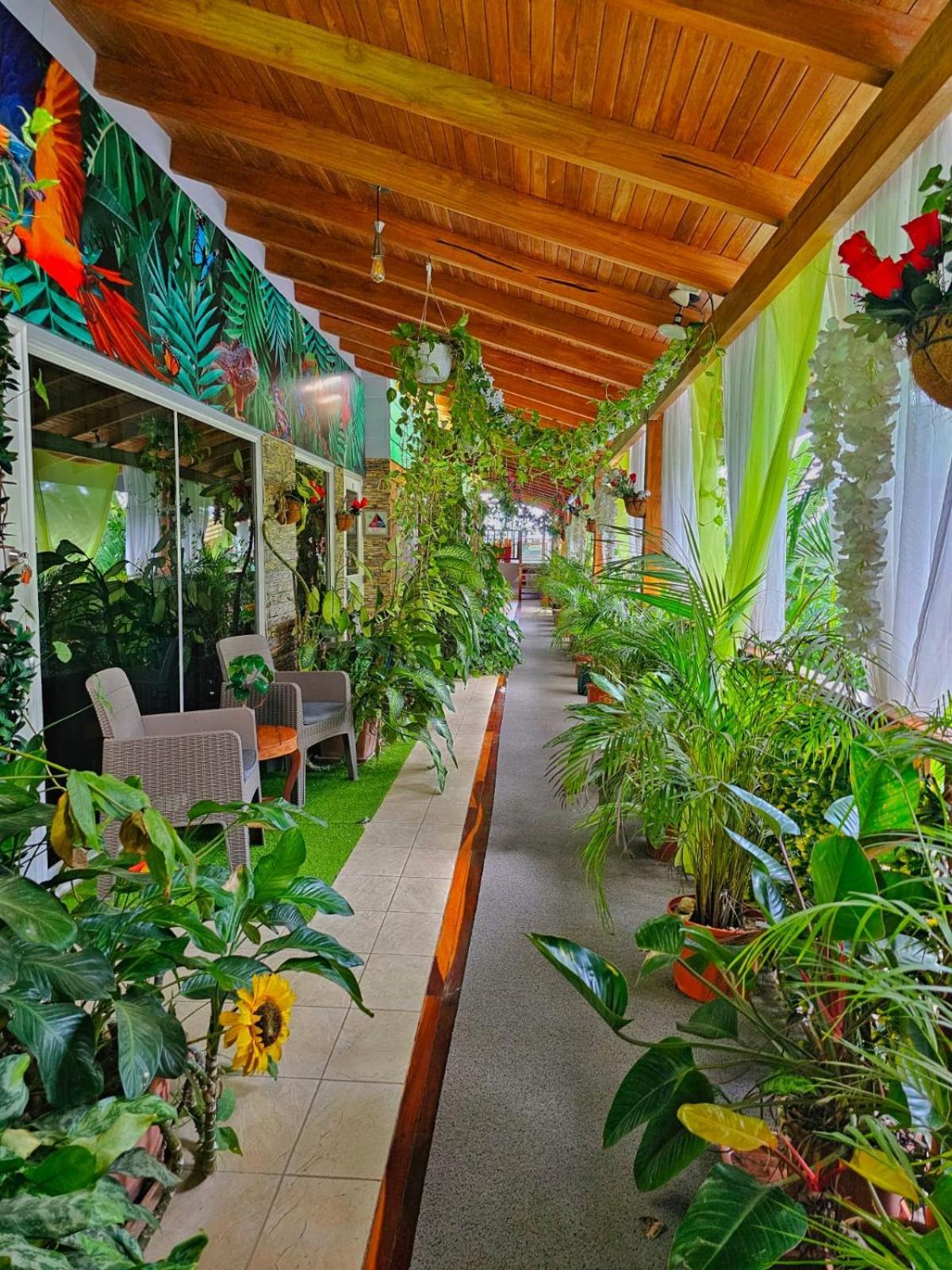 Bellavista Suites By Villas Verdes - Samara Beach Zewnętrze zdjęcie
